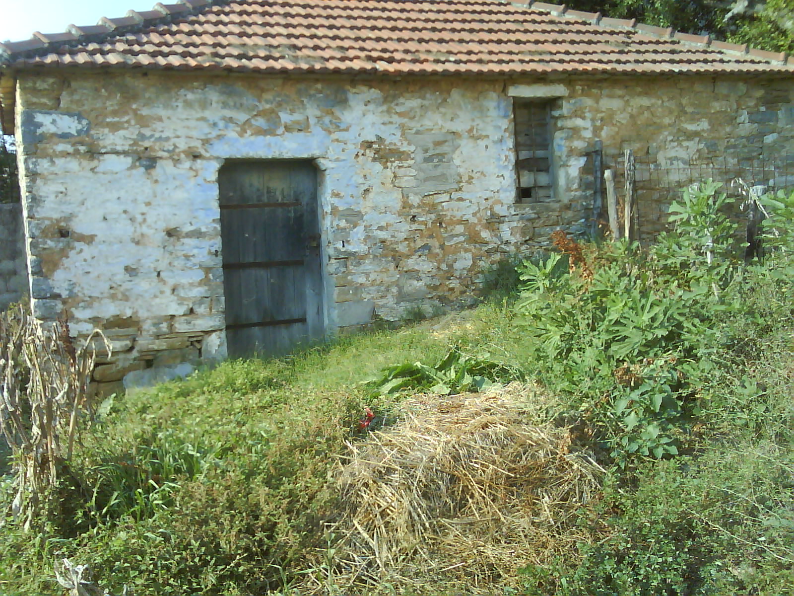 DSC00160